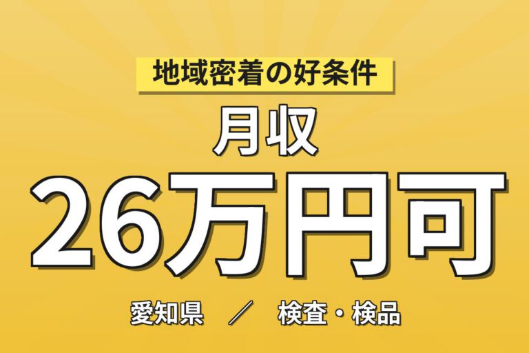 レトルトパック/洗剤パウチ製造×大手容器！クリーンルーム選別・梱包／2交替・月収26万・豊橋